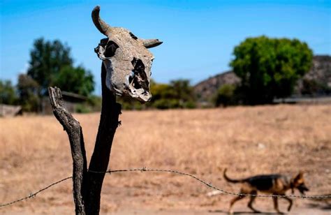 Cayman Eco Beyond Cayman Blackouts In Texas And California Teach A Hard Lesson Climate Change