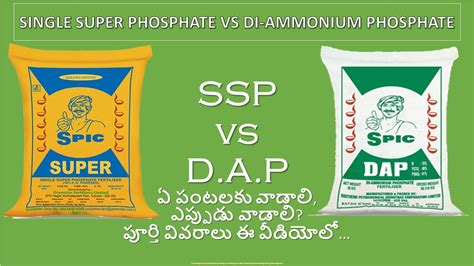 Ssp Vs Dap Single Super Phosphate And Diammonium Phosphate Fertilizer