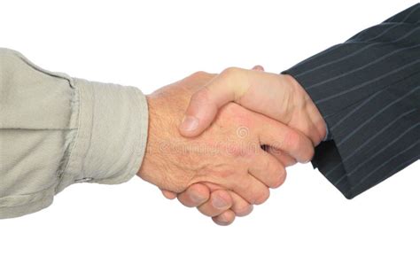 Man S Handshake Stock Photo Image Of Reliability Male 8146736