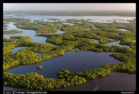 Picturephoto Aerial View Of Ten Thousand Islands And Chokoloskee Bay