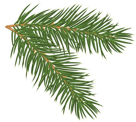 Pine Branch Png Clip Art Image Pine Branch Diy Christmas Paintings