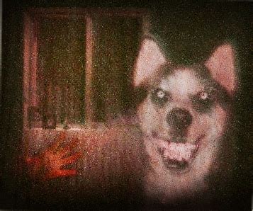 He is a supernatural entity that takes the form of a demonic husky and forces people into spreading his image all over the internet, otherwise he will kill them. Smile Dog (smile.jpg) | Deutsches Creepypasta Wiki ...