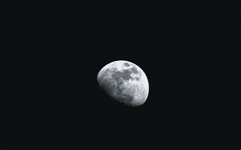 Download Wallpaper 1440x900 Moon Craters Planet Black Widescreen 16