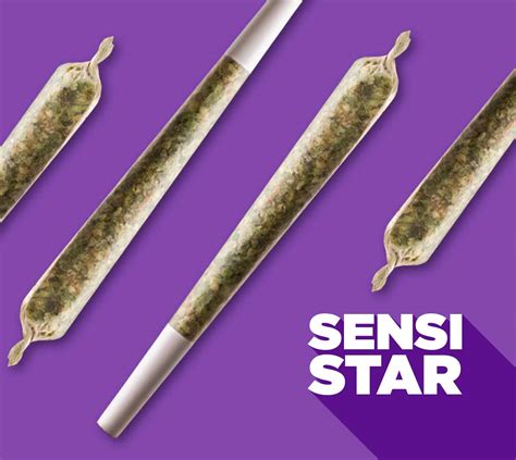 Sensi Star Spinach Cannabis