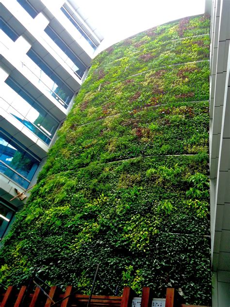 Living Wall System Tresgreen Technology Rental Vertical Gardening