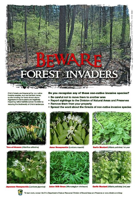 Dnap Forest Invasive Poster Bulls Run Nature Sanctuary And Arboretum