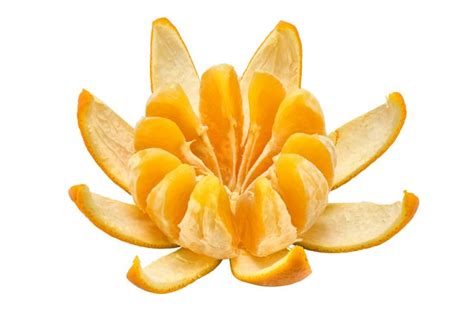 45 Incredible Uses For Orange Peels