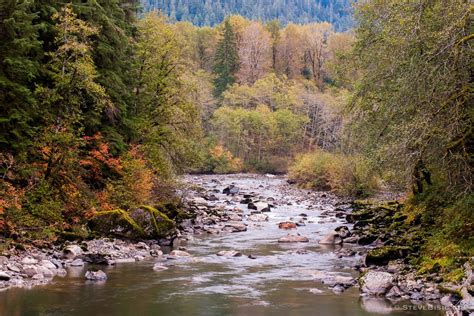 Autumn Colors Along The South Fork Stillaguamish River Washington