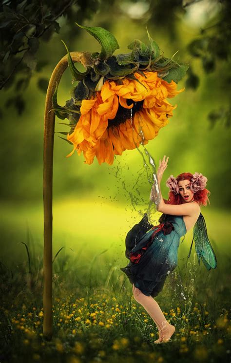 Sunflower Fairy By Morosity On Deviantart