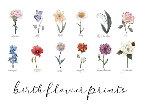 Birth Flower Watercolor Print Birth Month Painting Birth Etsy Uk