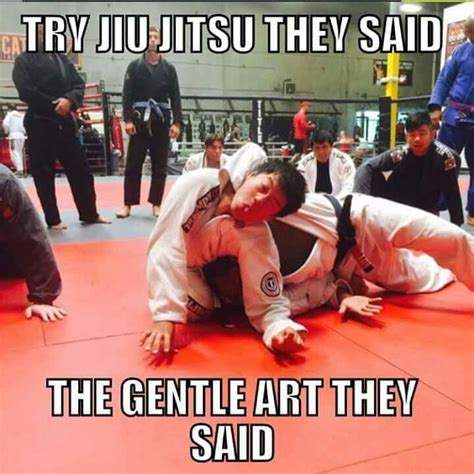 Jiu Jitsu Jiu Jitsu Quotes Brazilian Jiu Jitsu