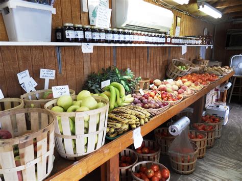 Pick-Your-Own Produce at Bader Farm (31 Photos, Video) | Montville, NJ ...