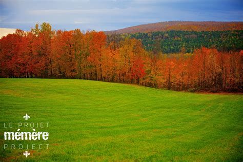 Gorgeous Fall Foliage Along Route 165 Outside Thetford Mines In The