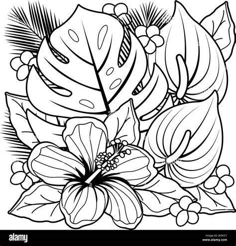 Tropical Plants And Hibiscus Flowers Black And White Coloring Book