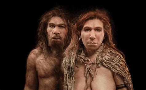 Los Neandertales Tenían Mayor Semejanza Genética Con Los ‘homo Sapiens