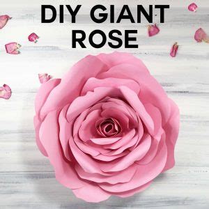 We did not find results for: DIY Paper Flowers: The Best Free Tutorials, Patterns ...