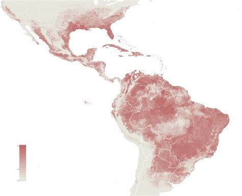 zika virus some short answers to some hard questions gl w s weblog