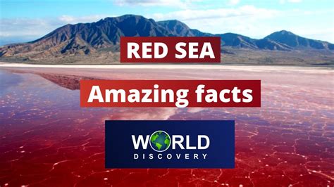 Red Sea Why Is Red Sea Called Red Sea Why The Red Sea Is Named Red Red Sea And Black Sea Dead