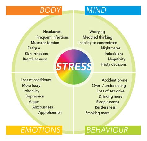 How Stress Affects The Body Atoka Massage Therapy