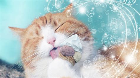 While ice cream is unlikely to do your cat any harm, it's not actually good. Can Cats Eat Ice Cream? A Guide by The Happy Cat Site