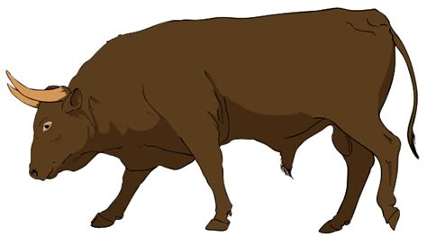 Bull Png Images Transparent Bull Clipart