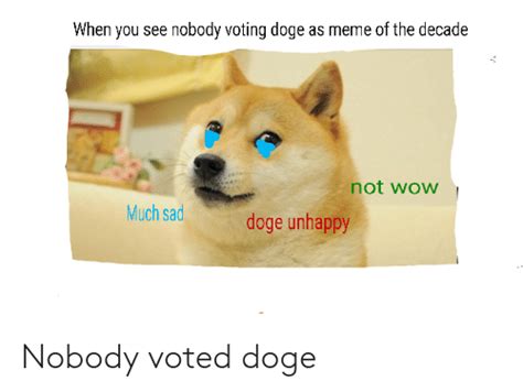 When You See Nobody Voting Doge As Meme Of The Decade Not Wow Much Sad