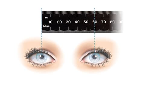 Pupil Size Chart Printable