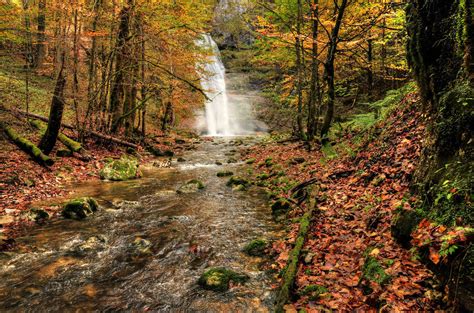 Autumn Forest With Waterfall By Burtn On Deviantart