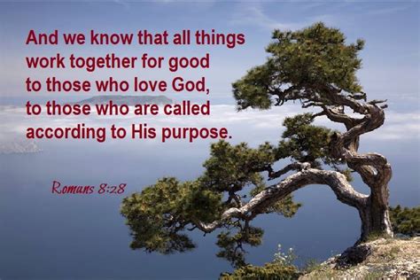 Romans 8 28 And We Know That All Things Work Together For Good To Those Who Love God To Those
