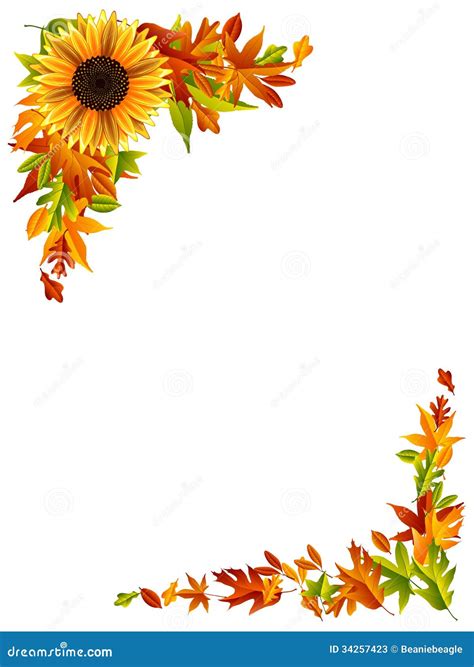 Thanksgiving Border Stock Vector Illustration Of Maple 34257423