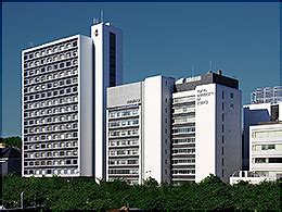 Download 純真短期大学の偏差値 ランク 受験対策 学習塾 大成会 Images For Free