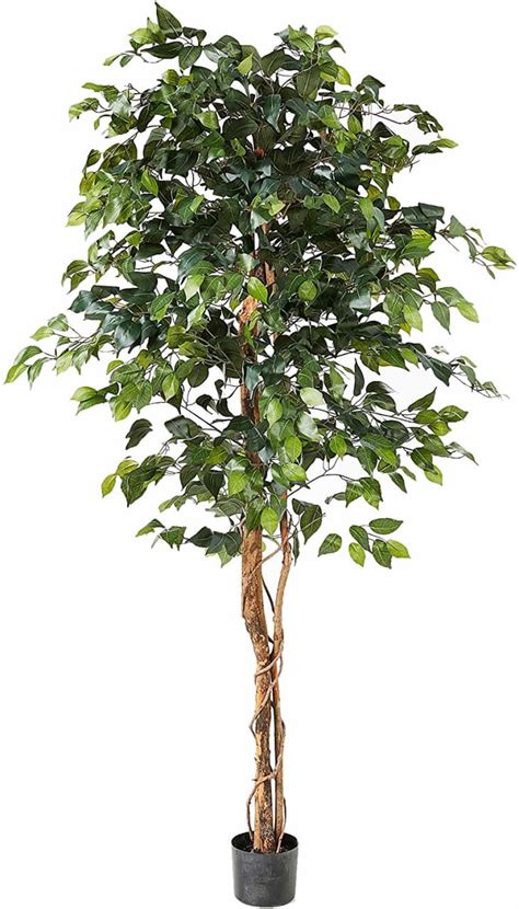Affordable Fake Ficus Tree Amazon Apartment Therapy