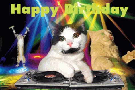 Sending happy birthday cat gif to that friend of yours that can't do without a cat on his/her birthday is one of the best ways to make him laugh. The Popular Happybirthday GIFs Everyone's Sharing