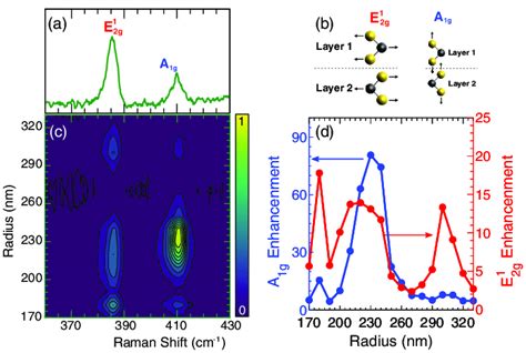 Raman Spectrum Of Bulk Crystalline Mos 2 Is Enhanced And Modified In