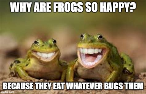 Be Happy Just Like These Frogs Imgflip