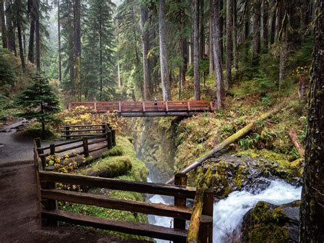 Hike To Sol Duc Falls Olympic National Park Blog Trailchew