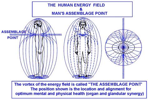 Human Energy Field Azl