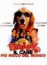 Bailey - Il cane più ricco del mondo (2005) Film Commedia: Cast, trama ...