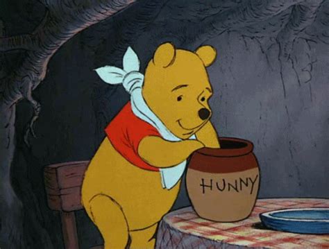 Winnie Pooh real Cámaras captan a oso tomando miel de colmena VIDEO