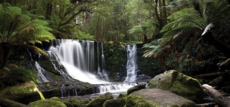 Waterfalls Tasmania Travel Guide