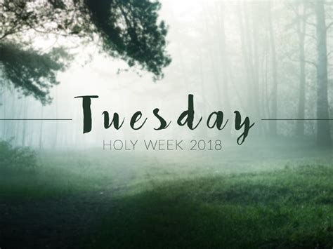 Tuesday Of Holy Week Gospel Reflection By Catholictv Medium