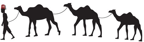 Black Camel Egypt Shriners