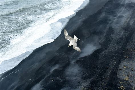 Ingyenes Képek Tenger Tengerpart Víz Természet óceán Fehér