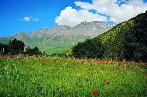 The Wilde Nature Of Kurdistan Doğa