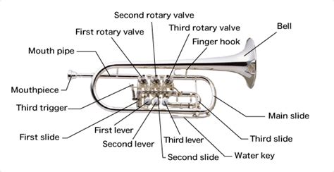 The Structure Of The Trumpetdifferences Between The Piston System And