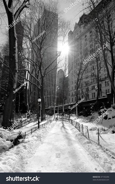 Winter Snow In Central Park New York City Stock Photo