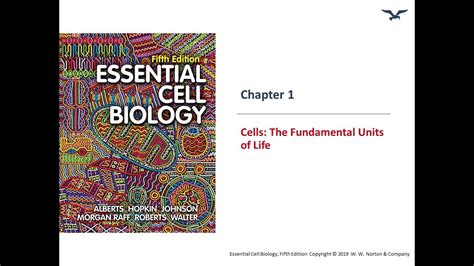 All About Cells The Fundamentals Units Of Life Youtube