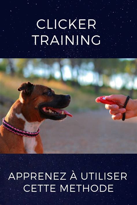 Découvrez La Méthode Du Clicker Training Et éduquer Votre Chien Avec L