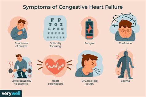 Congestive Heart Failure Symptoms Elderly Best Culinary And Food