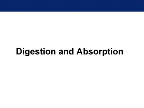 Physiology Of Digestion And Absorption презентация онлайн